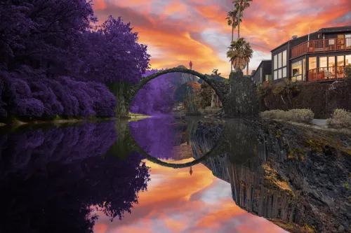 Reflection #835