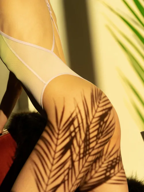 Palm Daydream #63