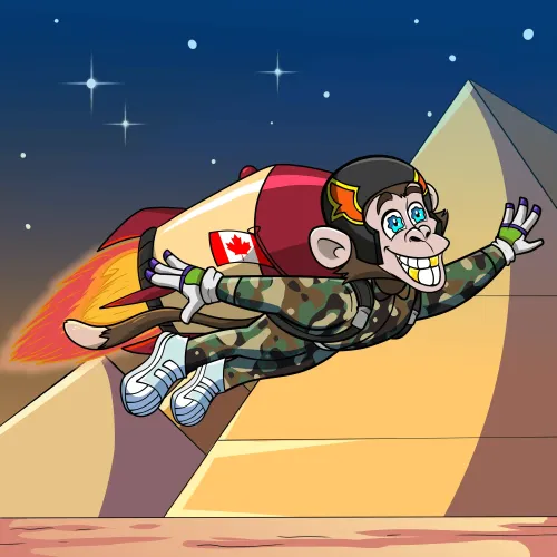 ROCKET CHIMP #589