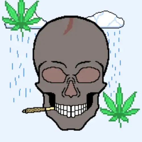 SKULL#27
