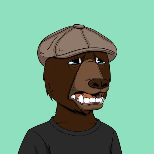 Okay Bear #879