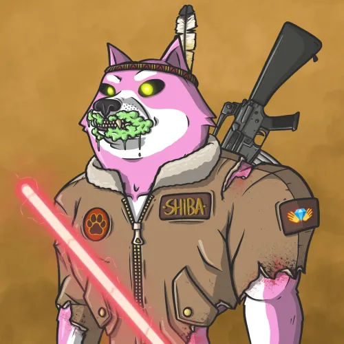 Shiba Army #2884