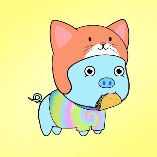 Chubbipig #5011