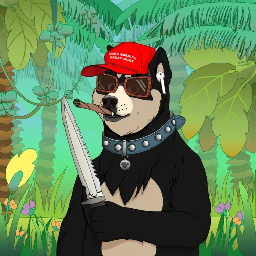 Doge #1862