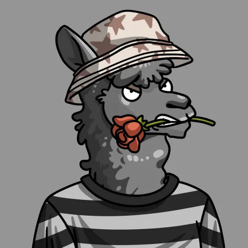 LLama #1584