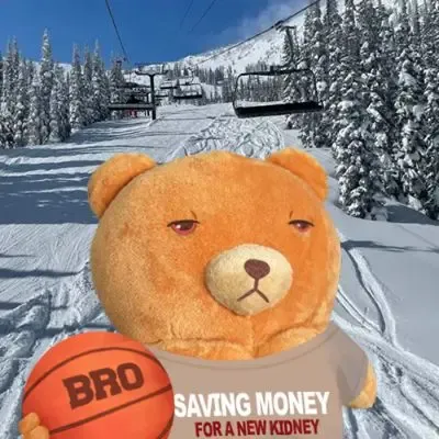 Bitcoin Bro Bear #2578 (#94083908)