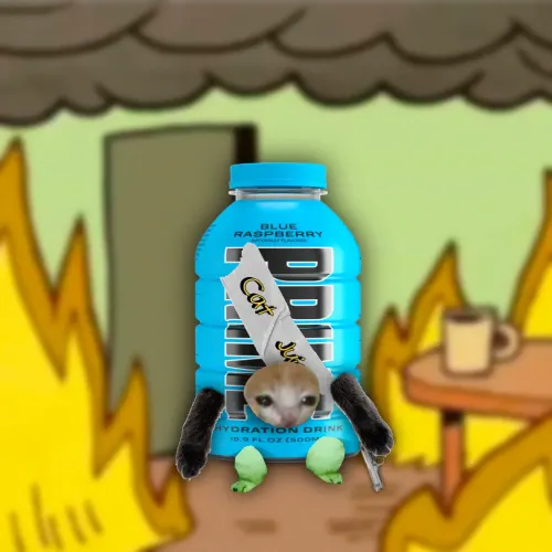 Cat Juice #566