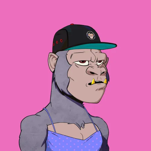 Kong #8150