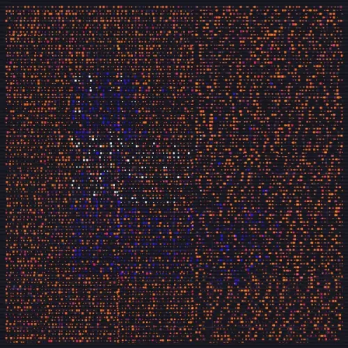 #44490495