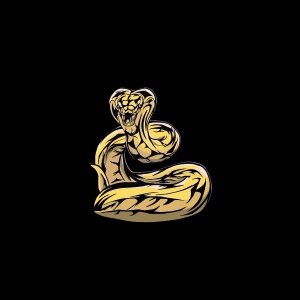Cobra #2