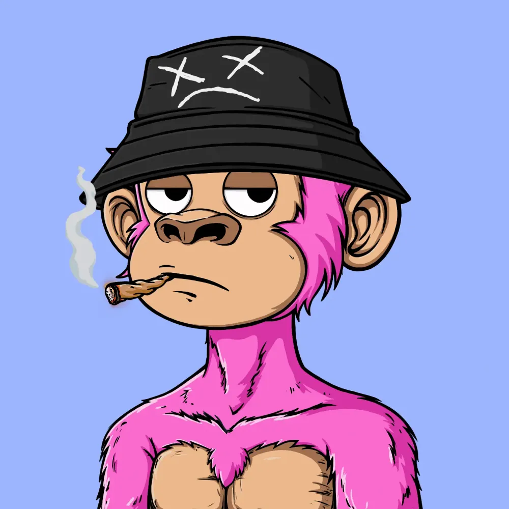 Sarupunk#5023