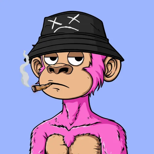 Sarupunk#5023