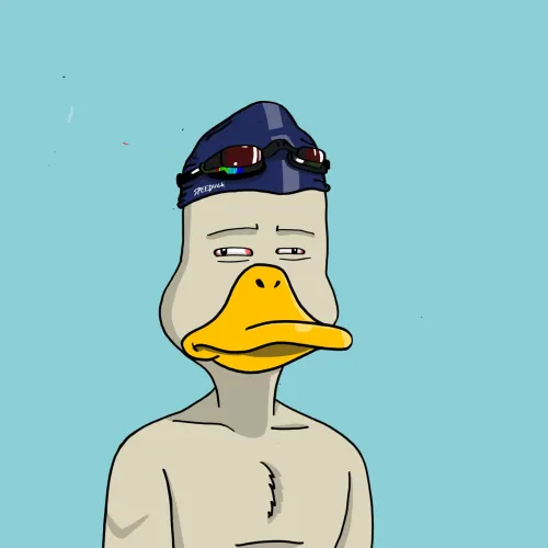 Duck #8265