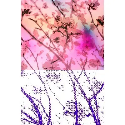 Blooming #81 (#91971365)