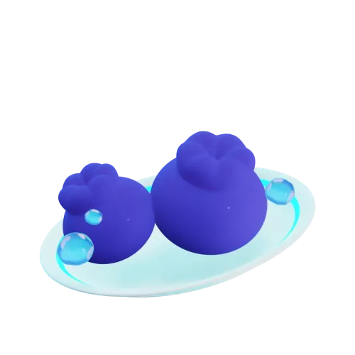 Blueberry Platter #376