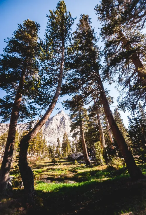 Kings Canyons - 13 #2376