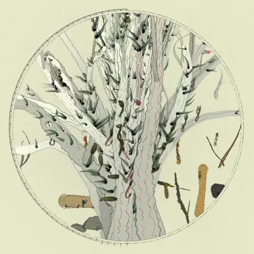 Polypaths | 植徑集 #247