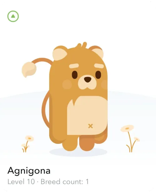 Cathlete #64054789