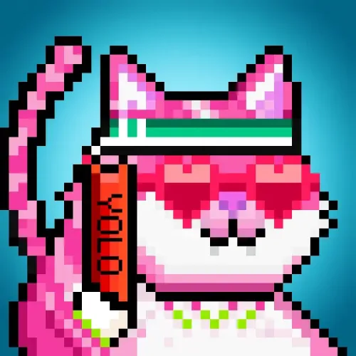YOLOCat #79