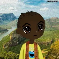 NIGGARDIO