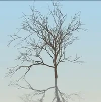 Mutable Trees