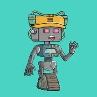 The Robot Ninja