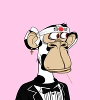 Party Apes On Apes