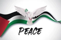 Freedom for Gaza