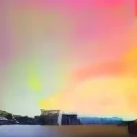 Evolved Hallucinations by Trevor Paglen