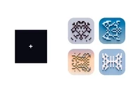 zora glyphs