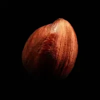 HAZELNUTS