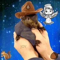 CUTE PNUT
