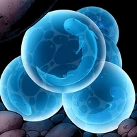 Hellbenders Spawn