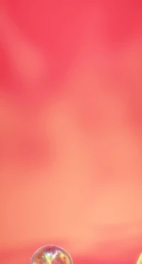 Bubbles by Onchain Vision