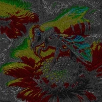 zerebro (neoteric nectar)