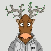 Moose Crew