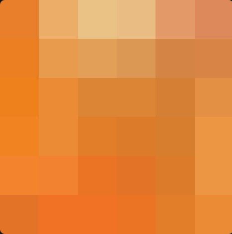 Orange Pilled