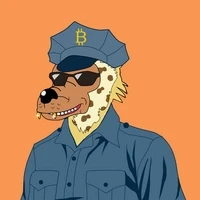 cop in zora