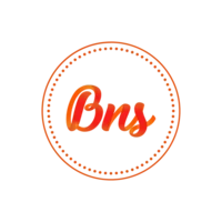 BNS - Bitcoin Network System