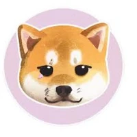 KidoShib