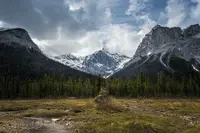 Rodeo posts