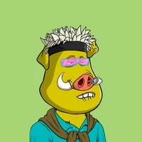 Base Build Boars