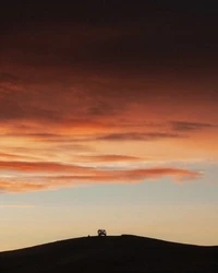 Rodeo posts