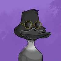 Trendyduck