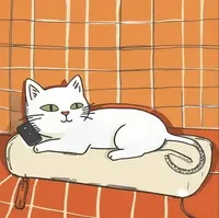 Lazy Cat