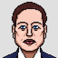 Elon Future