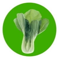 ShanghaiQing