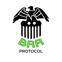 BRR Scammers NFT
