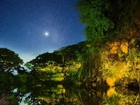 moonlight