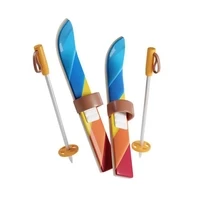 Downhill Ski - Summer Skis